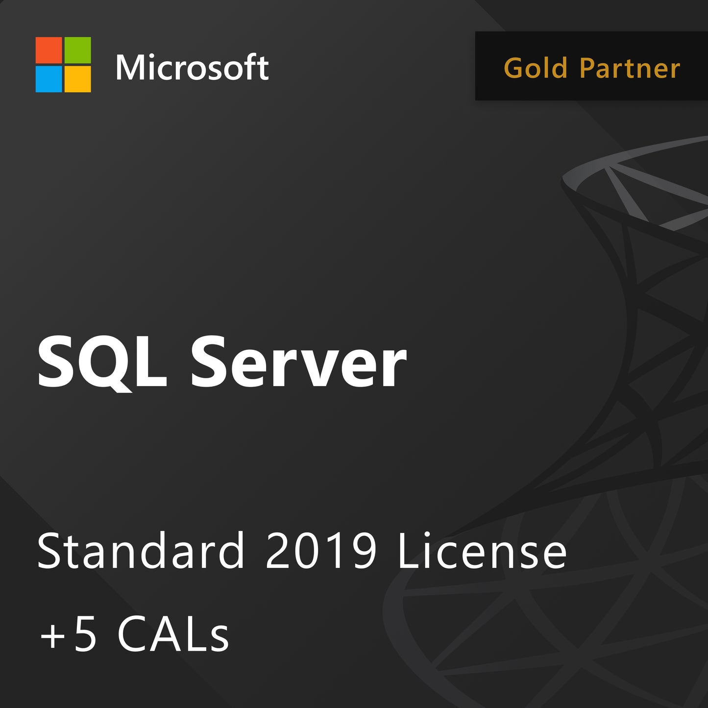 Microsoft SQL Server 2019 Standard - License + 5 CALs