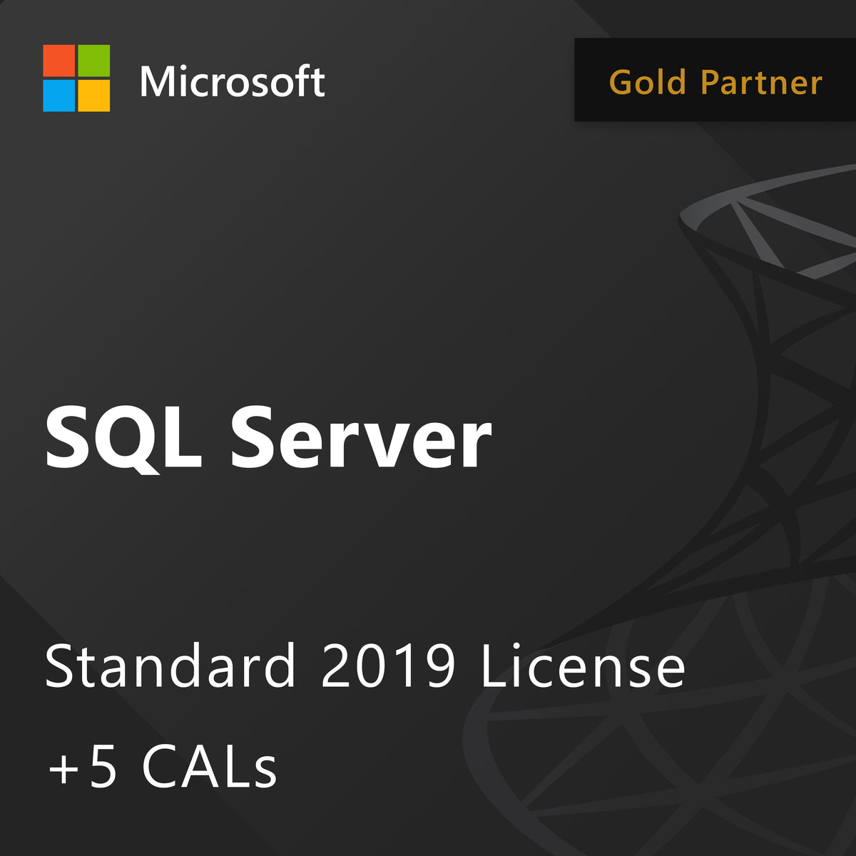 Microsoft SQL Server 2019 Standard - License + 5 CALs – Helpful Downloads